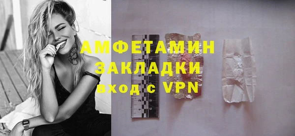 индика Беломорск