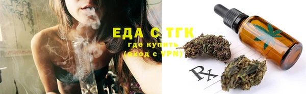 стаф Богданович