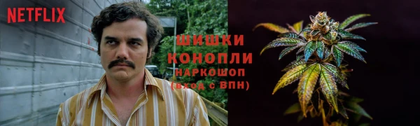 каннабис Белокуриха