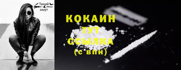 индика Беломорск