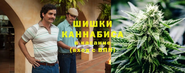 индика Беломорск
