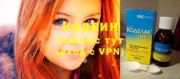индика Беломорск