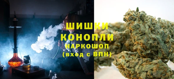 индика Беломорск