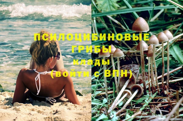 каннабис Белокуриха