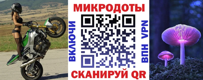 Псилоцибиновые грибы Psilocybe  Балахна 